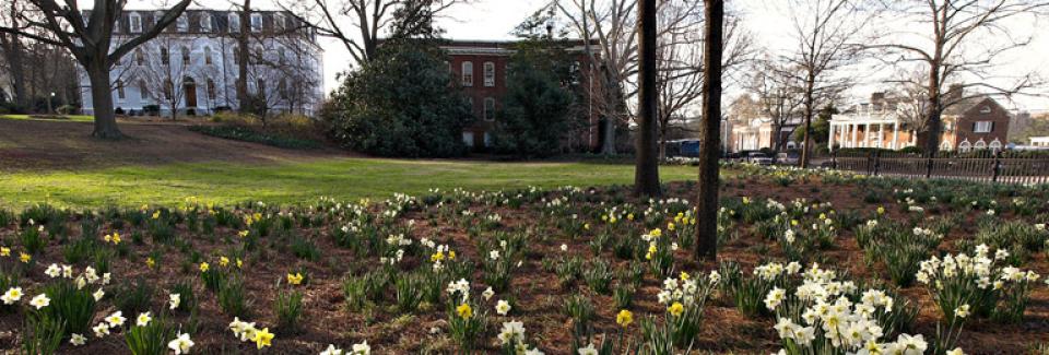View of Moore College and Meigs Hall on UGA's north campus. North Campus